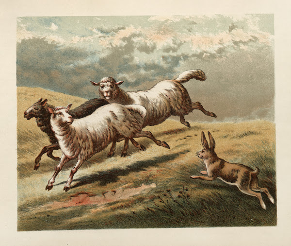 Ballad of the lost hare Pl07 1882