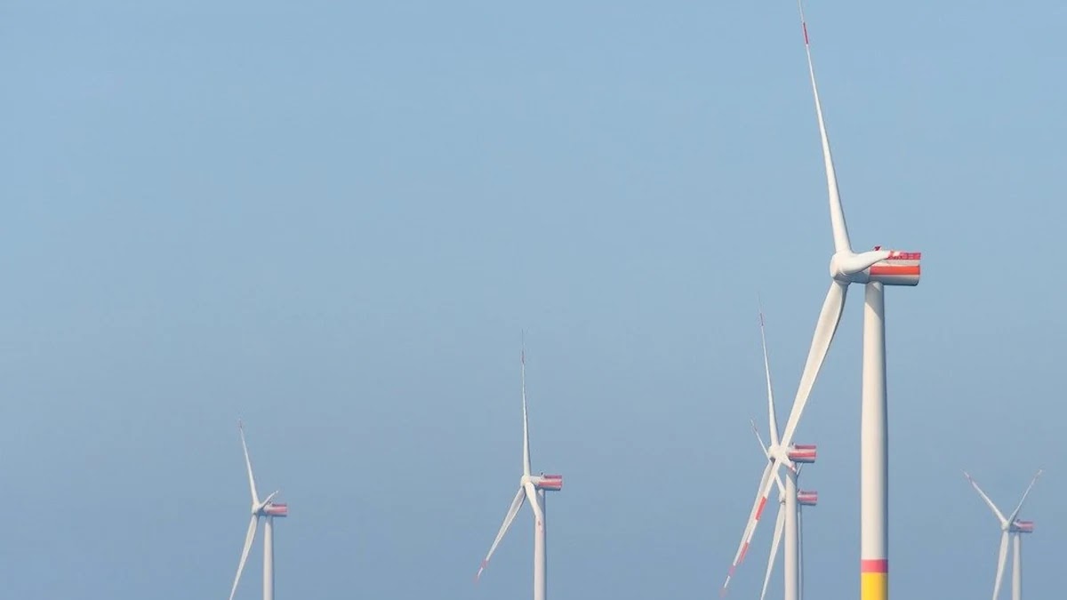 해외법인 설립 시 조세조약 활용 절세 방안과 주의점