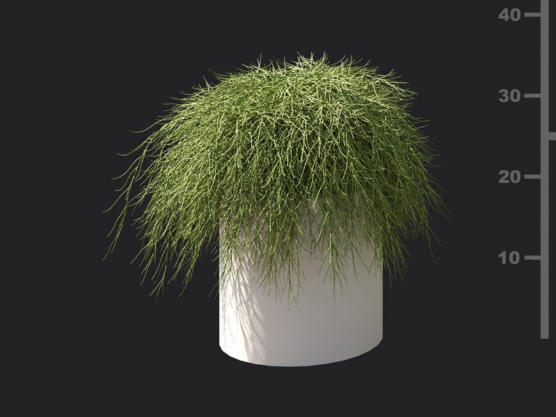 Maxtree - Plant Models Vol.119