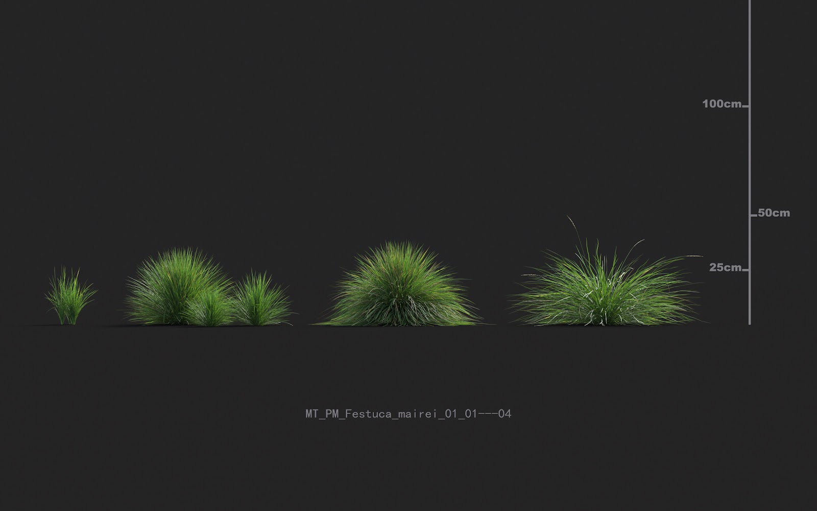 Maxtree - Plant Models Vol.20