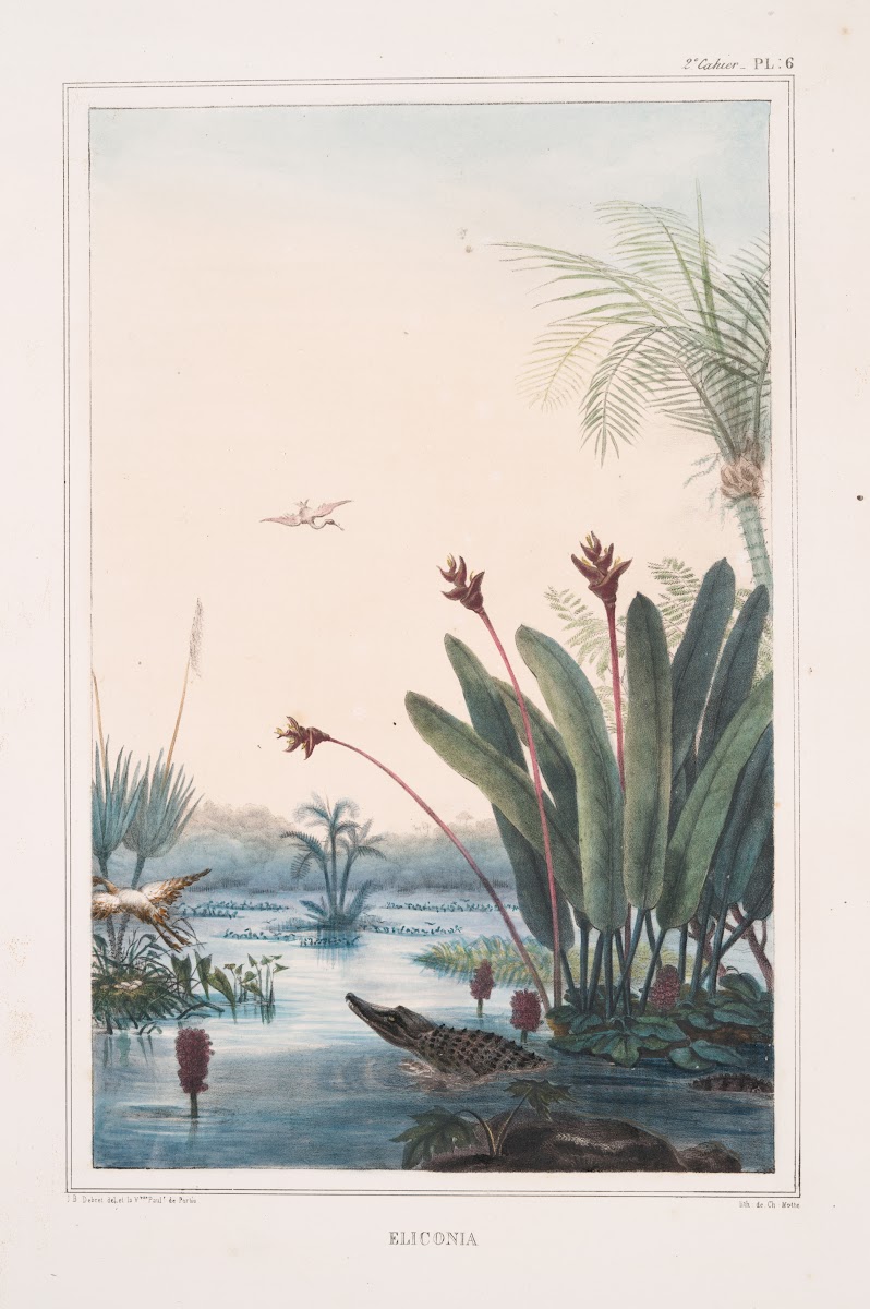 Éliconia 1834   1839