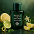 What Does Colonia Club Acqua di Parma Smell Like?
