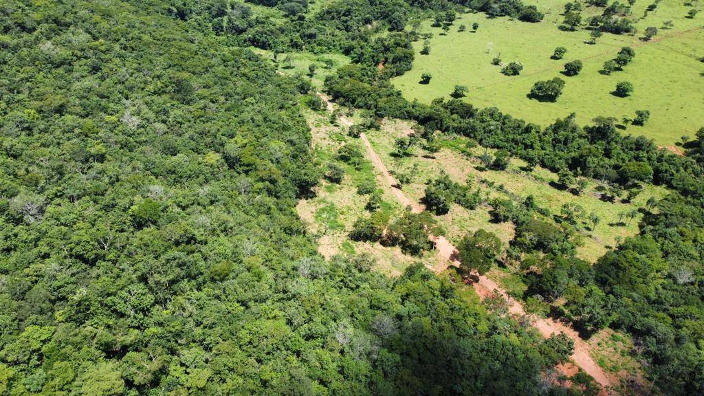 Fazenda no Município de Santa Cruz- GO. 9
