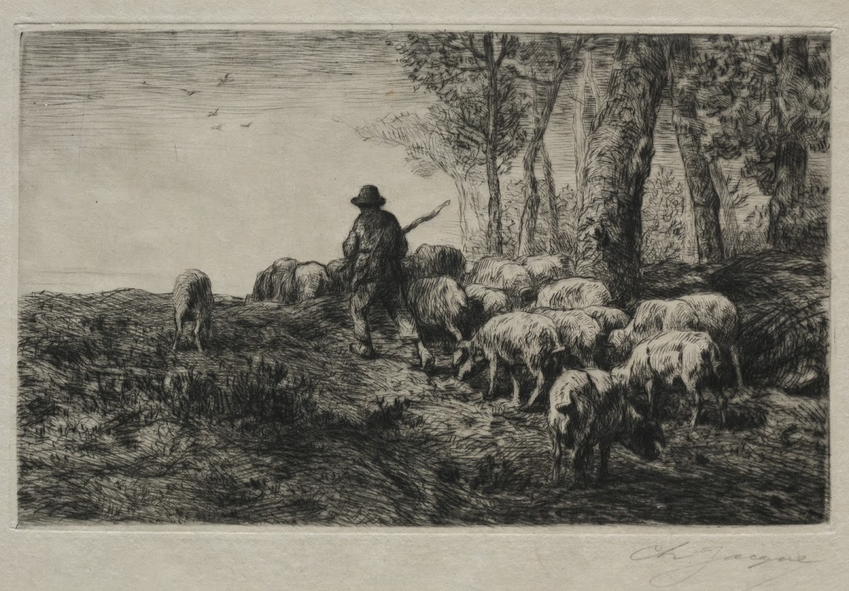A herd of swine 1880