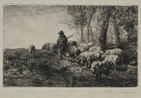 A herd of swine 1880