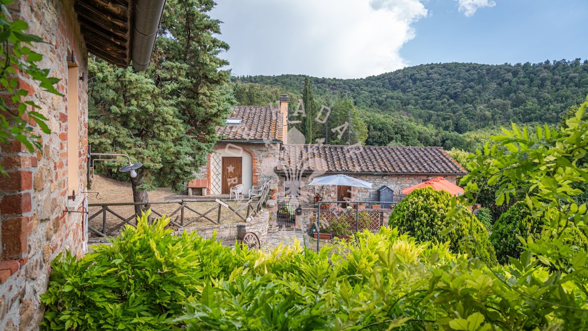 פודרה פוג'ו אל לאגו (Podere Poggio al Lago) — 11