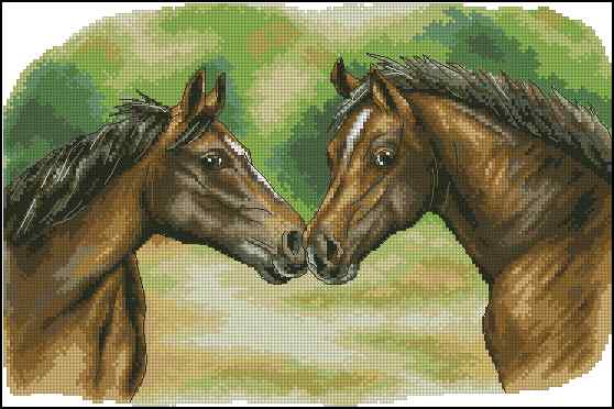 CMP 400422 Horses Duo