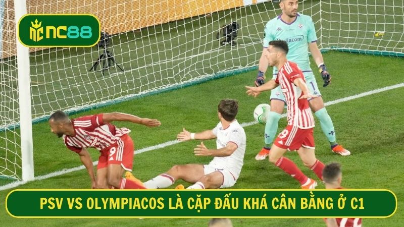 Cặp đấu PSV vs Olympiakos không có sự chênh lệch nhiều