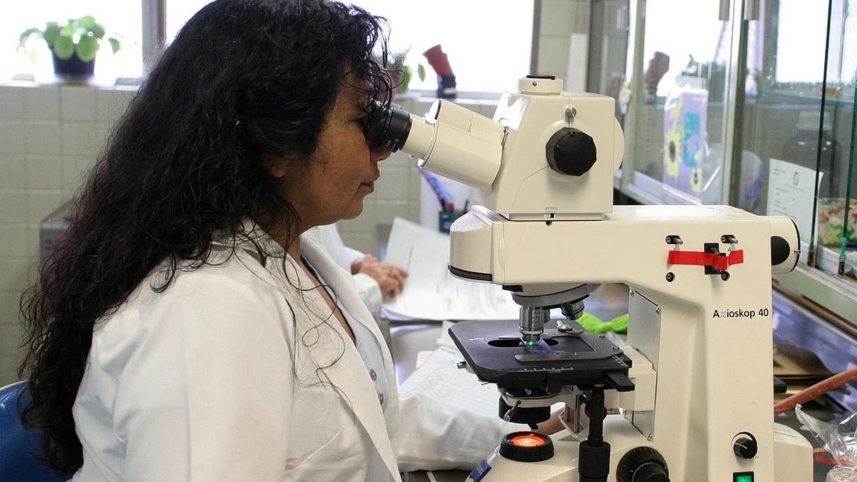 간 기능 이상 시 혈액 검사 수치별 의미와 기준 정리