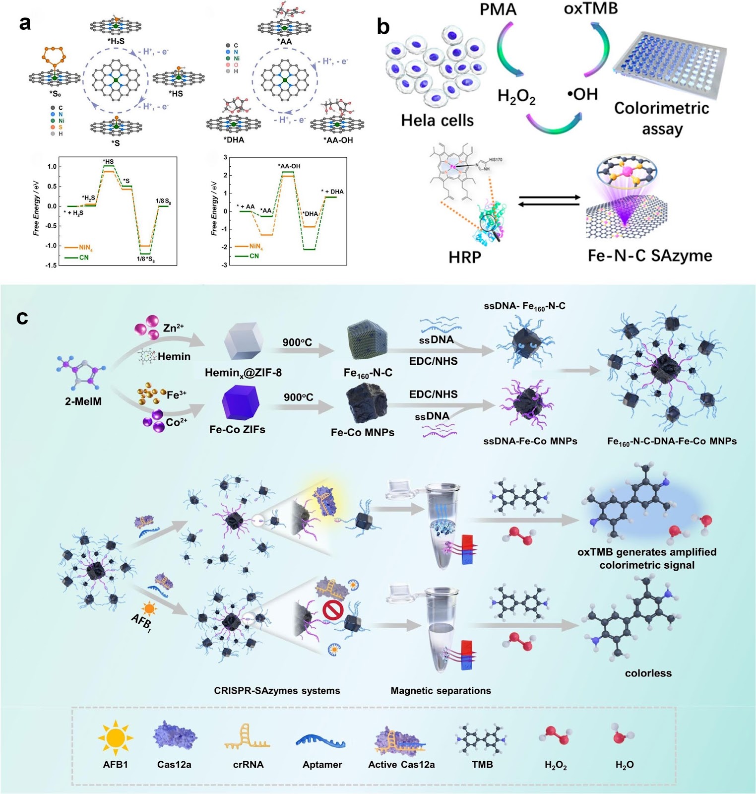 Innovative Strategies to Overcome Stability Challenges of Single-Atom Nanozymes