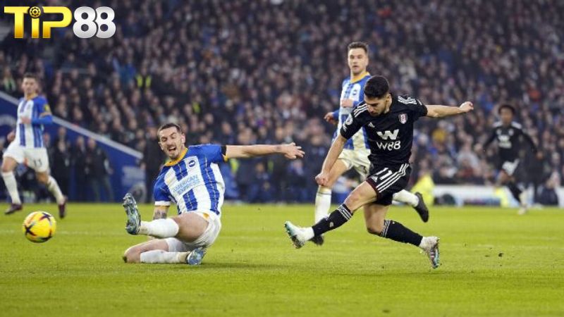 Lịch sử đối đầu giữa Fulham vs Brighton