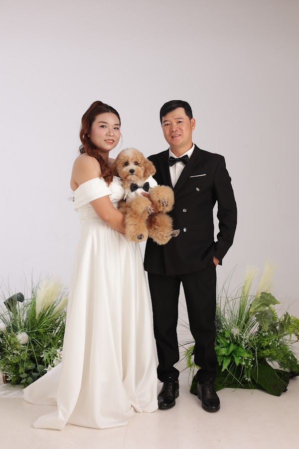 Ảnh bìa album