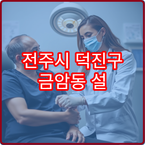 전주시 덕진구 금암동 설 연휴 응급의학과 병원 위치 및 운영시간