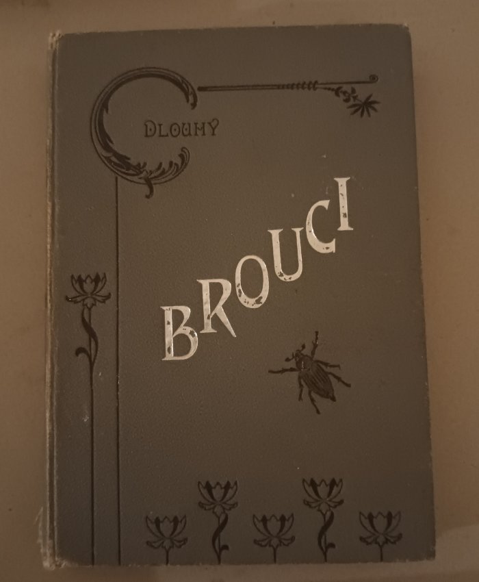 Brouci soustavný popis nejdůležitějších českých brouků s návodem, kterak zakládati sbírky broukův