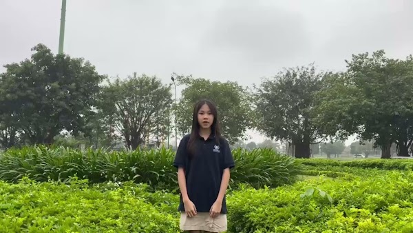 Video thumbnail từ Google Drive