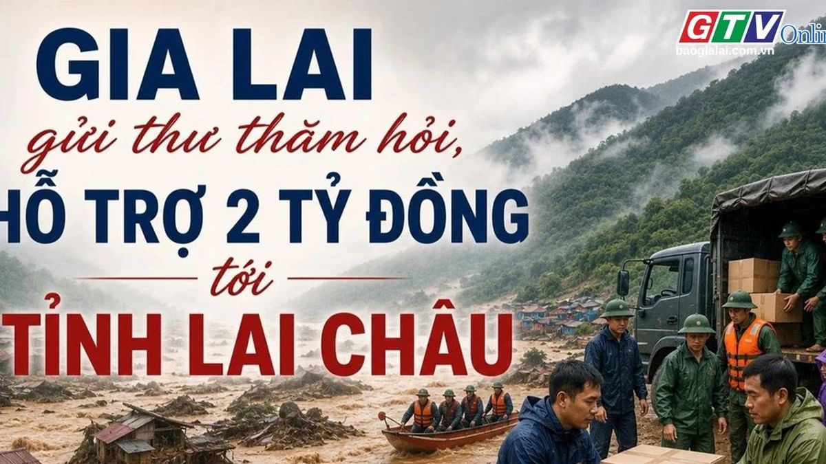 Toàn cảnh Gia Lai 24h: Hỗ trợ 2 tỷ đồng và thuốc, hóa chất y tế cho Lai Châu - Báo Gia Lai
