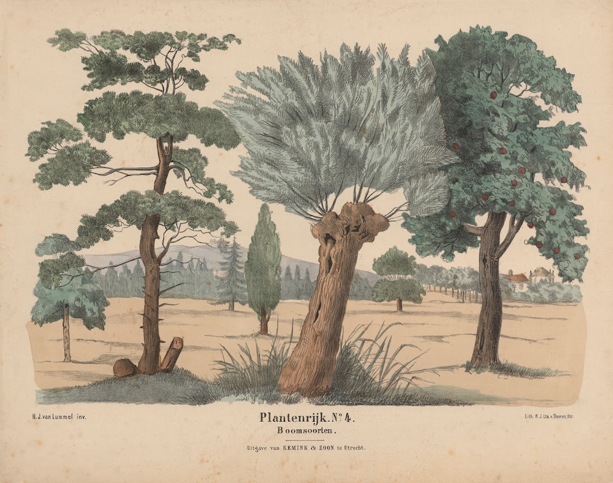 Boomsoorten 1841