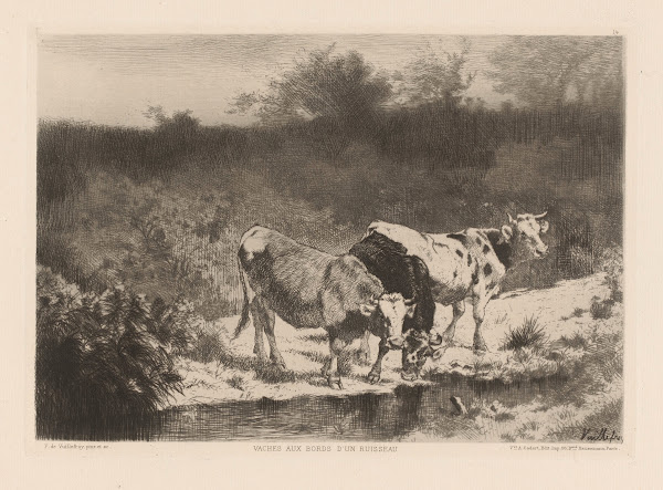 Vaches Aux Bords Dun Ruisseau 1880