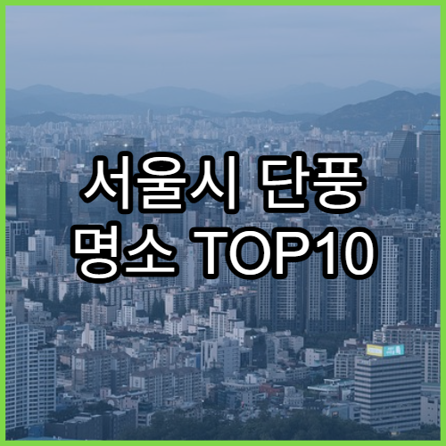 서울시 단풍 명소 TOP10 | 가을 나들이 코스 추천