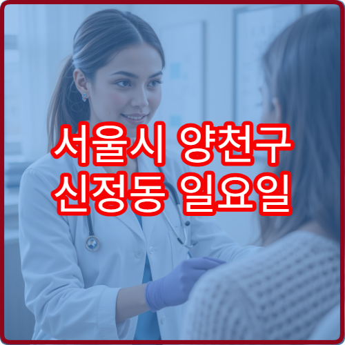 서울시 양천구 신정동 일요일 진료 가능한 피부과 알레르기 피부 증상 대응