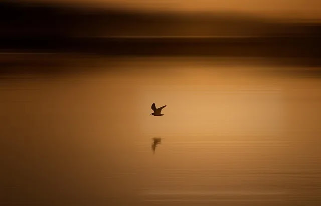도시가스 요금 계산법과 온수 누진세 폭탄 방지 가이드