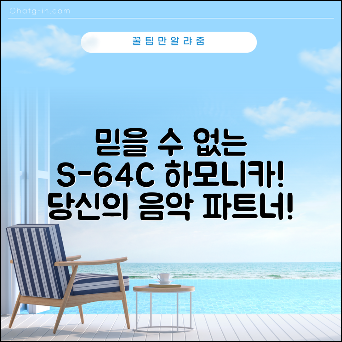 믿을 수 없는 S-64C 하모니카의 매력