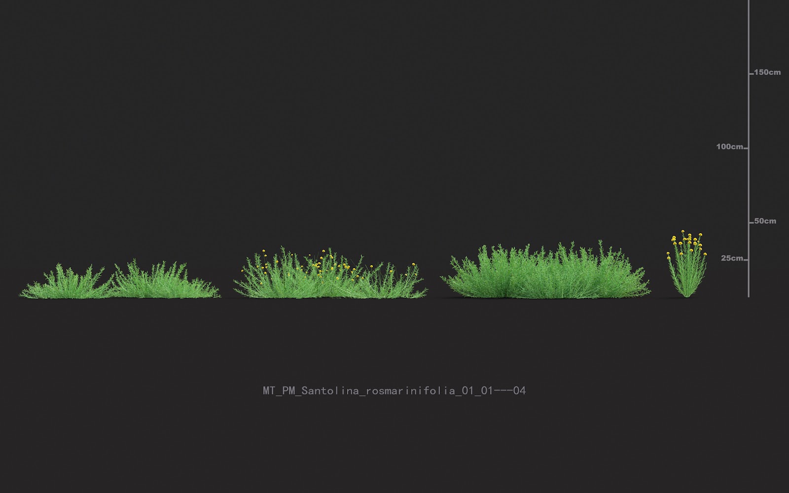 Maxtree - Plant Models Vol.20