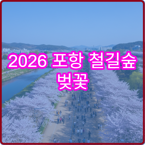 2026 포항 철길숲 벚꽃 개화 늦을 때 대체 영일대 호수공원 루트
