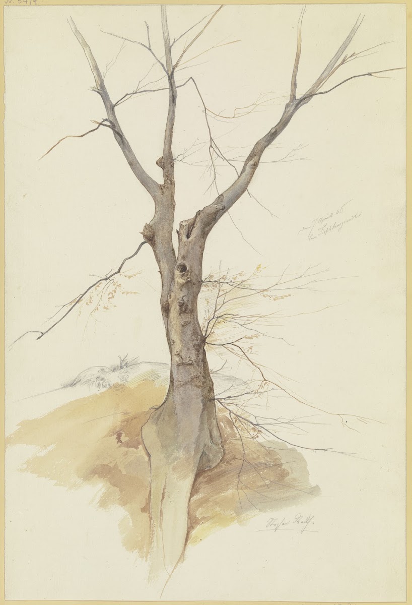 Leafless Tree 1846