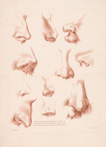 Eleven noses from different perspectives 1749 1849