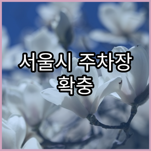 서울시 주차장 확충 2026 발표