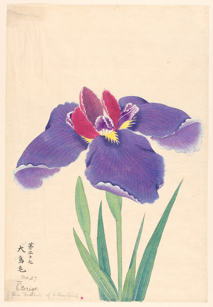 The Feather of a Big Bird Otorige 1910