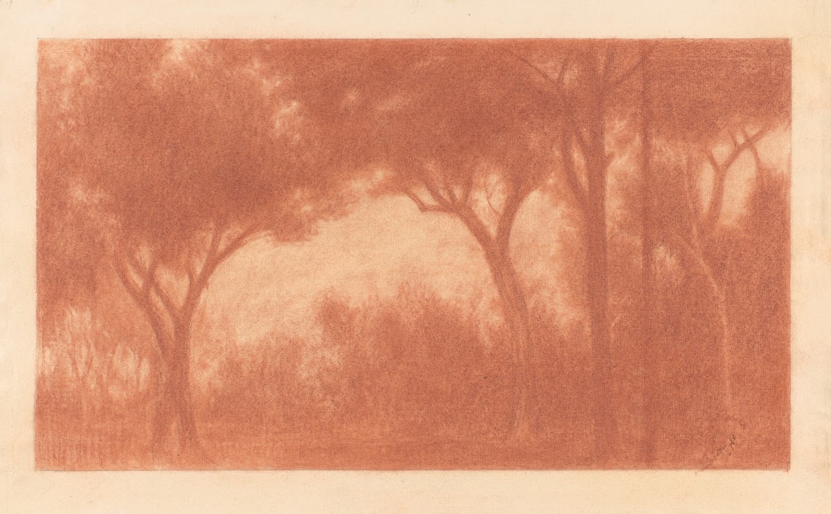 Forest Landscape with a Clearing 191124