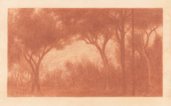 Forest Landscape with a Clearing 191124