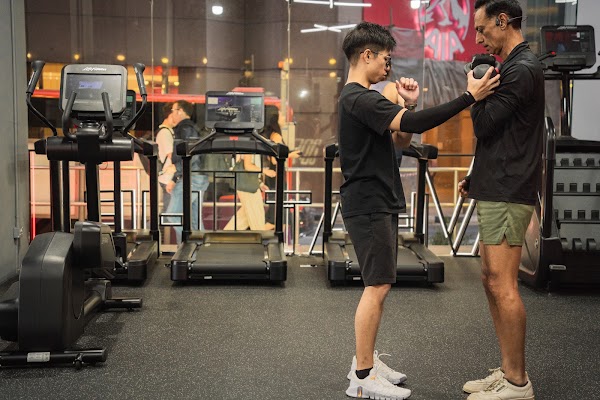 WTF Gym