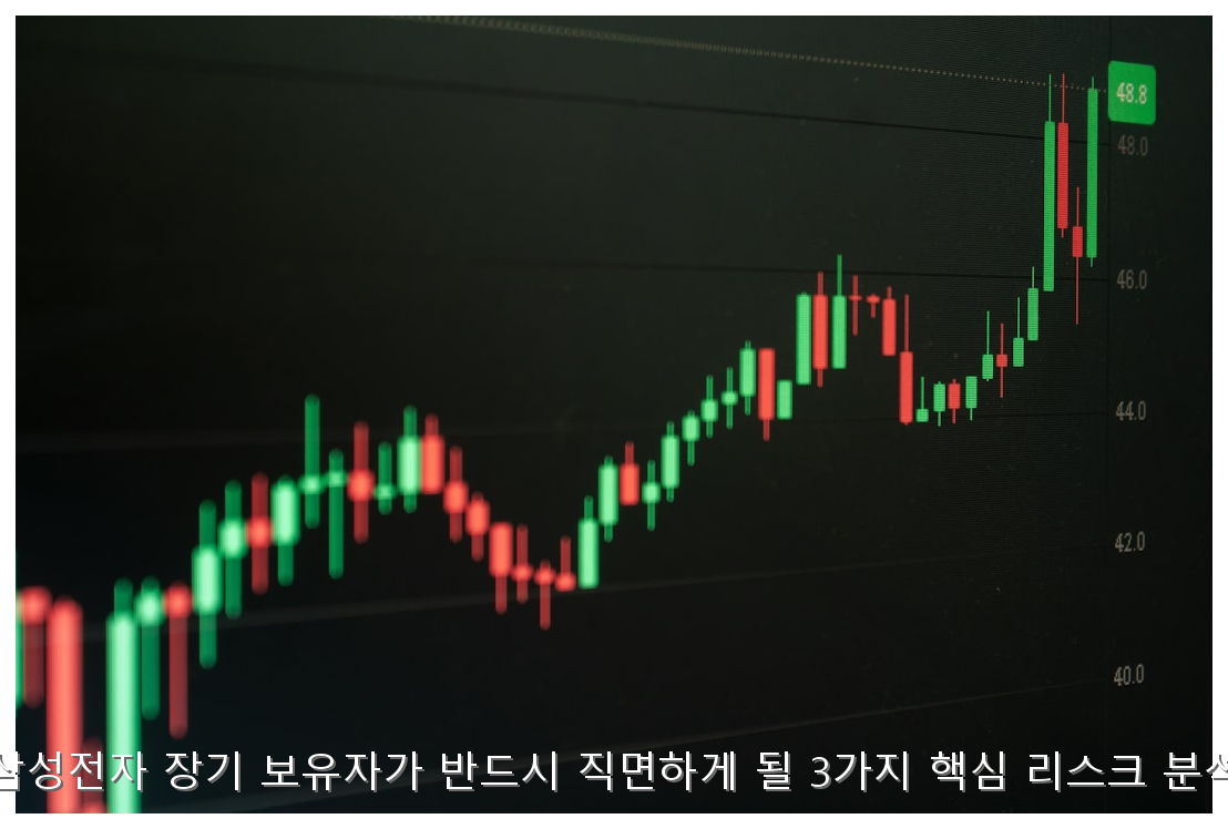 삼성전자 장기 보유자가 반드시 직면하게 될 3가지 핵심 리스크 분석 핵심 안내 및 분석 인포그래픽 (7)