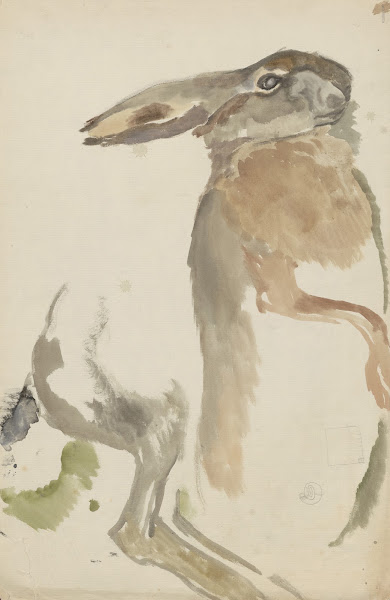 Hare 1895 1928