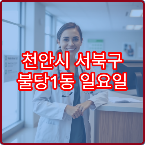 천안시 서북구 불당1동 일요일 내과 진료 병원 소화 장애 상담