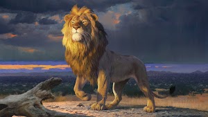 Lion Wallpaper