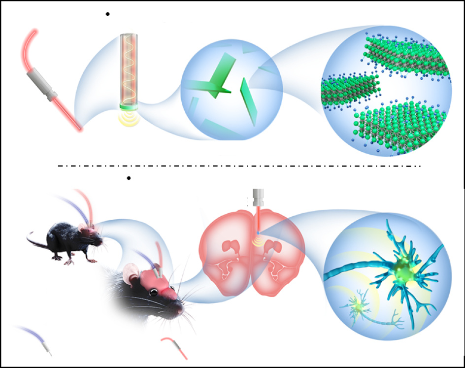 Fiber-optic photoacoustic enables targeted neuromodulation and stress reduction in mice