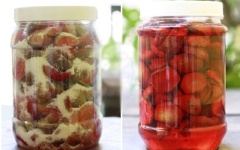 Cho mận vào hũ nhựa hoặc bình thủy tinh, rắc đường trắng vào. Cứ một lớp mận thì đến một lớp đường trắng, đậy kín nắp để mận ngấm đường và ra nước mận.