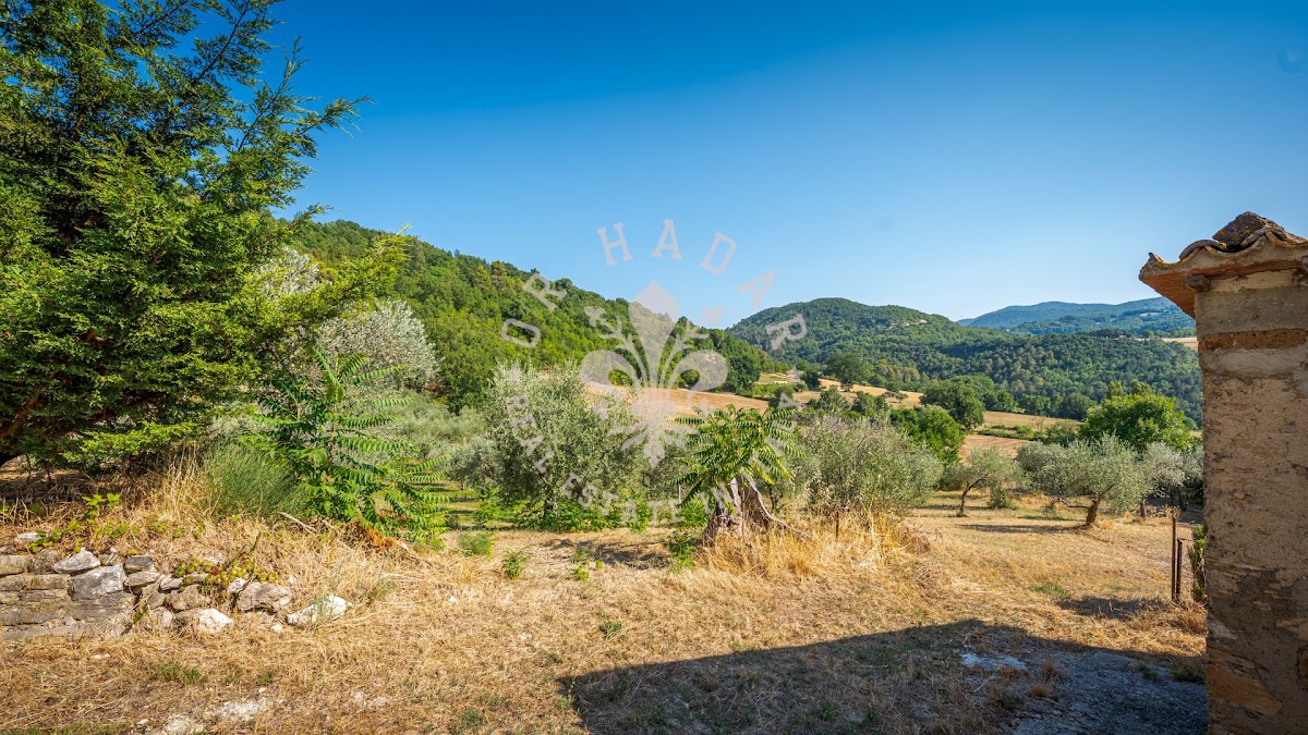 קזאלה דיי צ'ילייג'י (Casale dei Ciliegi) — 43