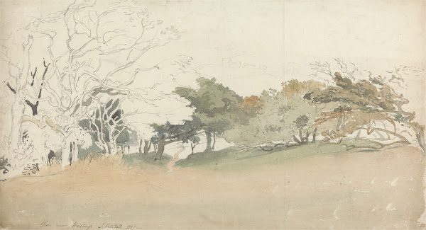 Trees near Hastings 1807