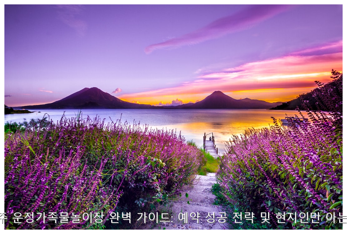 2026 파주 운정가족물놀이장 완벽 가이드: 예약 성공 전략 및 현지인만 아는 명당 팁 핵심 안내 및 분석 인포그래픽 (5)
