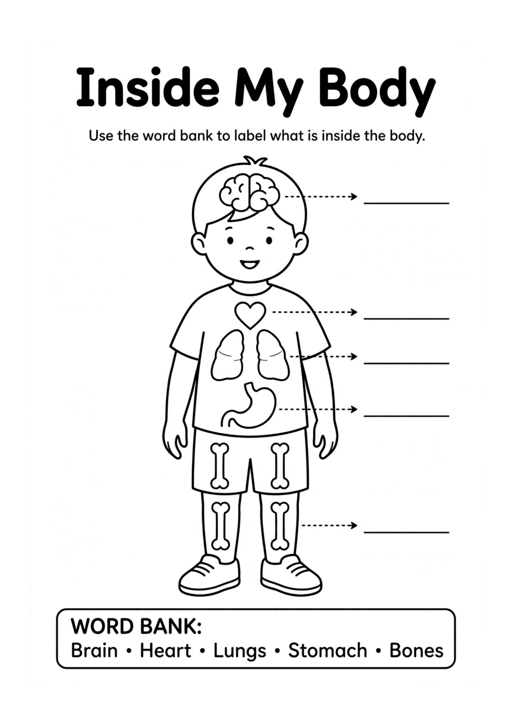 Inside My Body