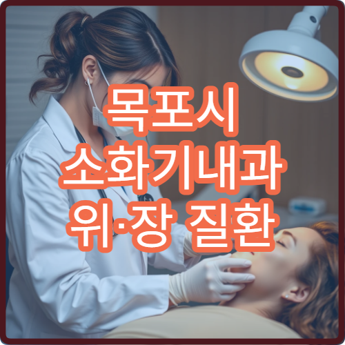 목포시 소화기내과 위·장 질환 진료 잘하는 병원