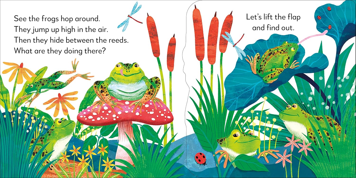 Pop-Up Peekaboo! Frog - thumbnail 2
