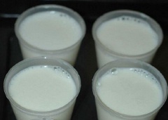 Sau đó múc sữa vào các hộp hoặc các hũ đã chuẩn bị sẵn. Đóng nắp lại và cho vào ủ trong máy làm sữa chua từ 5-8 tiếng là được.