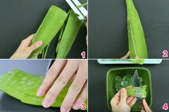 Đem nha đam gọt bỏ hết phần vỏ xanh và lấy phần thịt trắng của nha đam, cắt nhỏ hạt lựu.