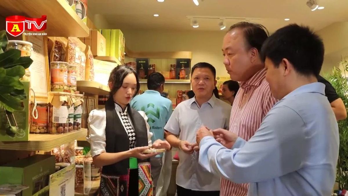 Giữa lòng Thủ đô, trải nghiệm một 'Điện Biên phố' đậm bản sắc - Chuyên trang An Ninh Thủ Đô - Báo Công an nhân dân